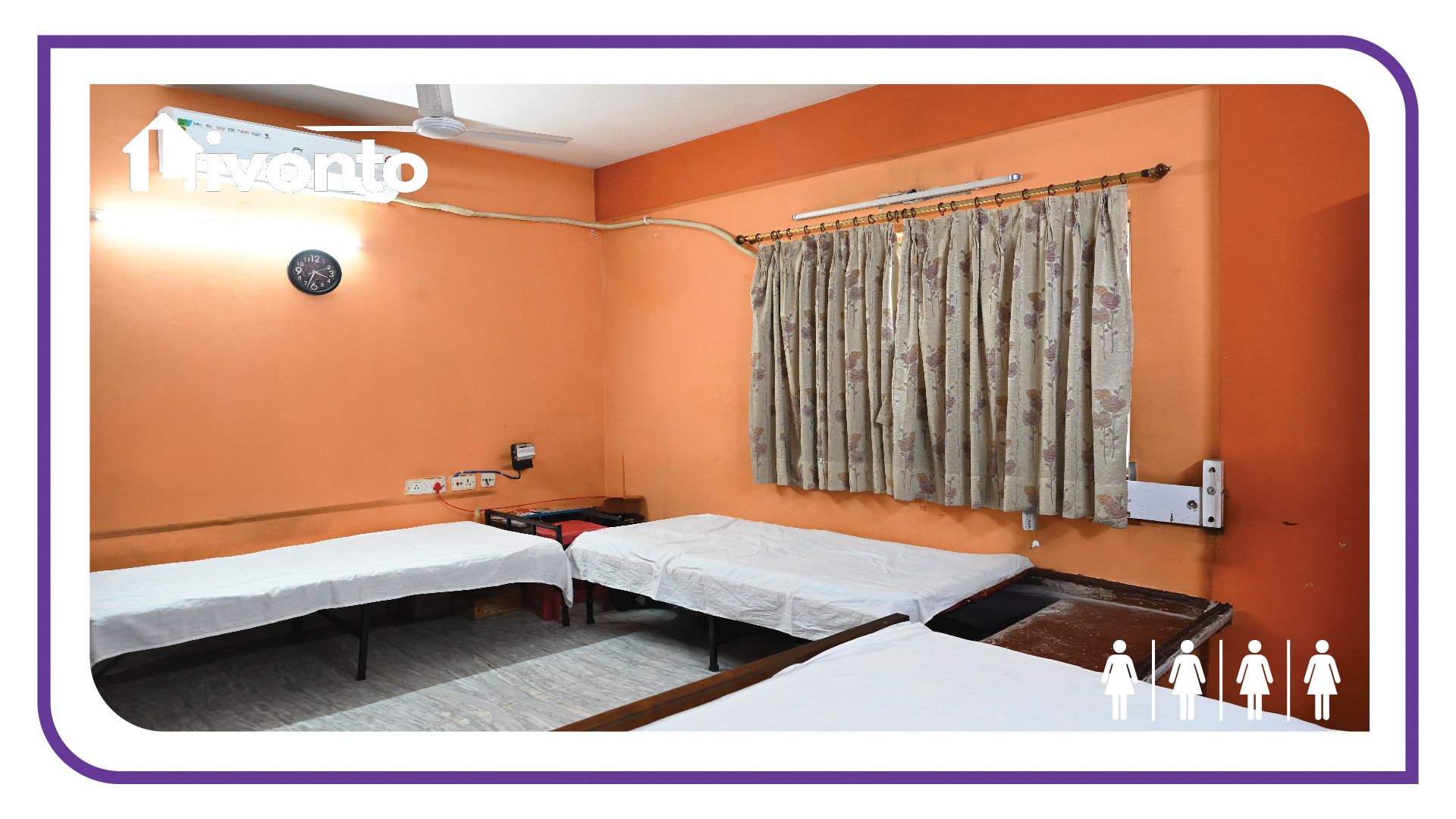 PALM STAYS PREMIUM PG - Image 3